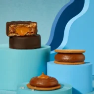 Havanna | Alfajor Mar del Plata | 4 unidades | 360 gramos - Imagen 3